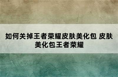 如何关掉王者荣耀皮肤美化包 皮肤美化包王者荣耀